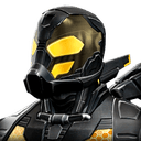 yellowjacket