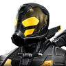 yellowjacket